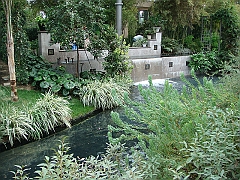 247 Longwood Gardens [2008 August 23]